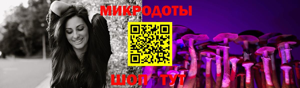 Ипатово  Галлюциногенные грибы Cubensis  Вход с VPN 